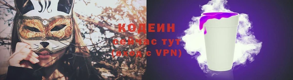 твердый Абаза